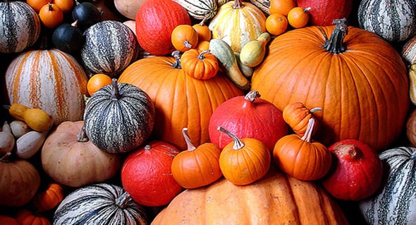 Halloween pumpkin