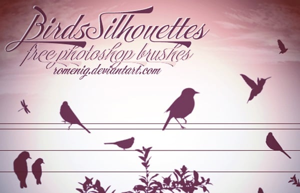 Birds Free Photoshop Brushes